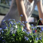 4 Home Improvements To Make Before Selling This Summer in 77065